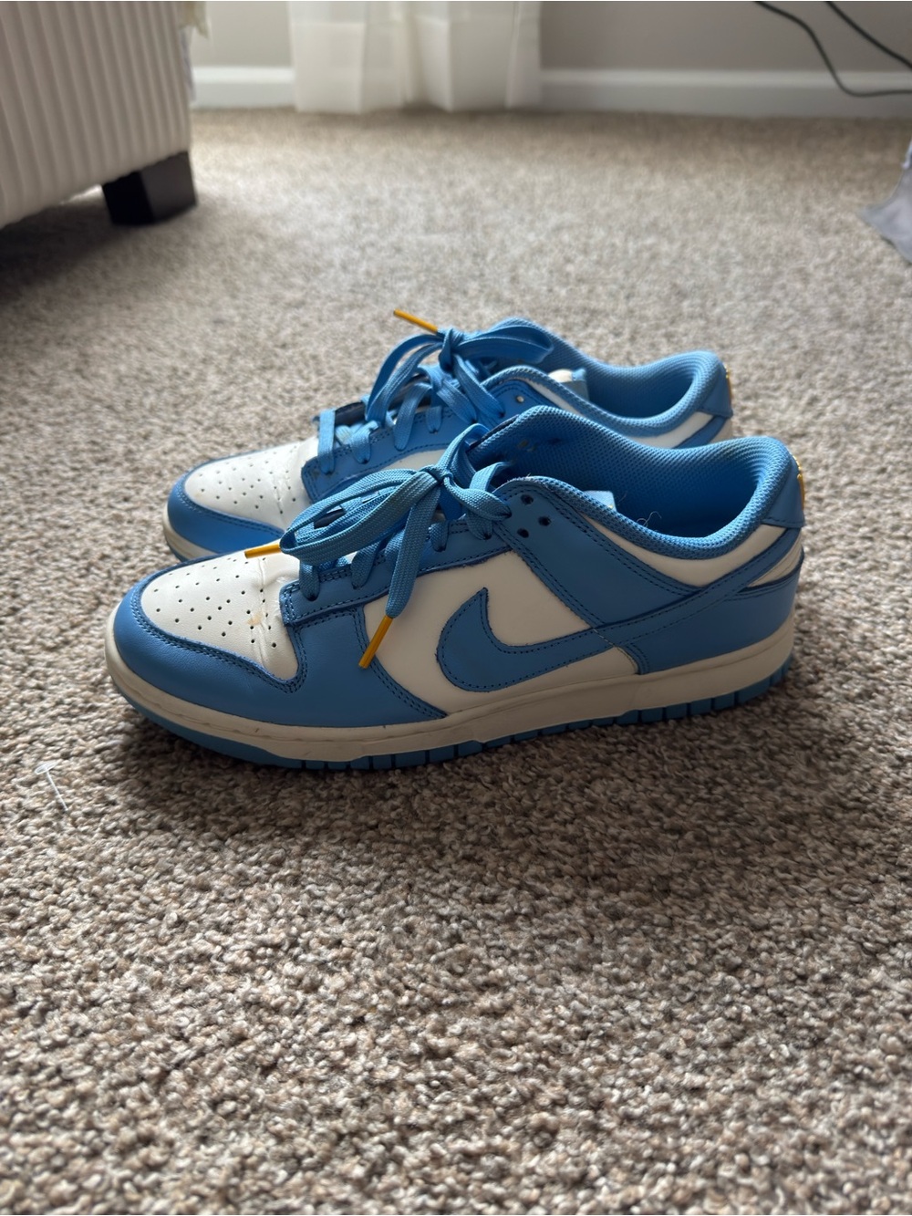 Woman’s Nike Dunk Low Coast Sneakers